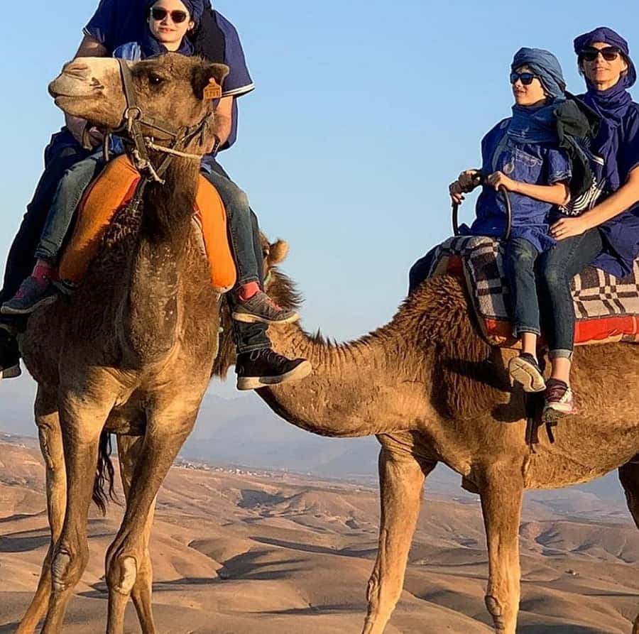 Dinner show in agafay Desert 1h quad bike & 20 min camels - Who will enjoy this Agafay outing