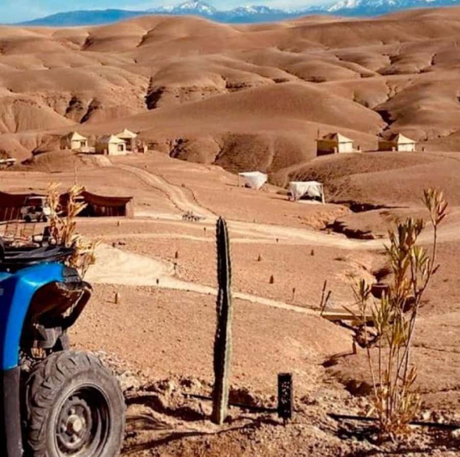 Dinner show in agafay Desert 1h quad bike & 20 min camels - The 20-minute camel ride at sunset