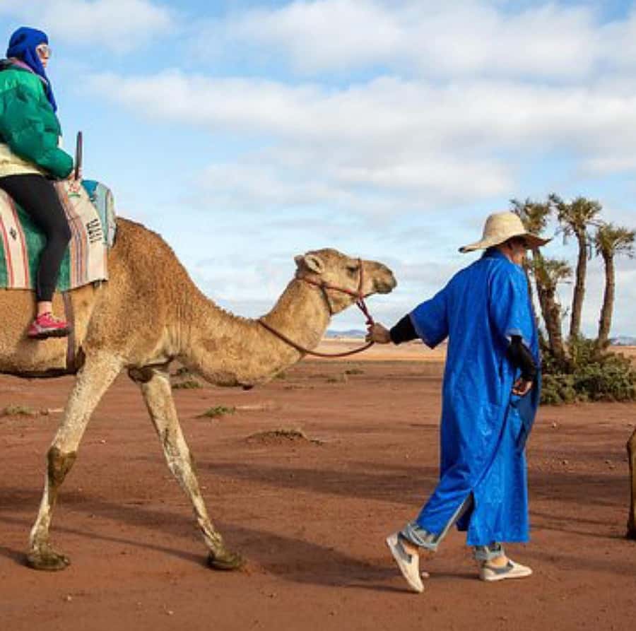 Dinner show in agafay Desert 1h quad bike & 20 min camels - Mint tea, the desert pool, and the camp setting
