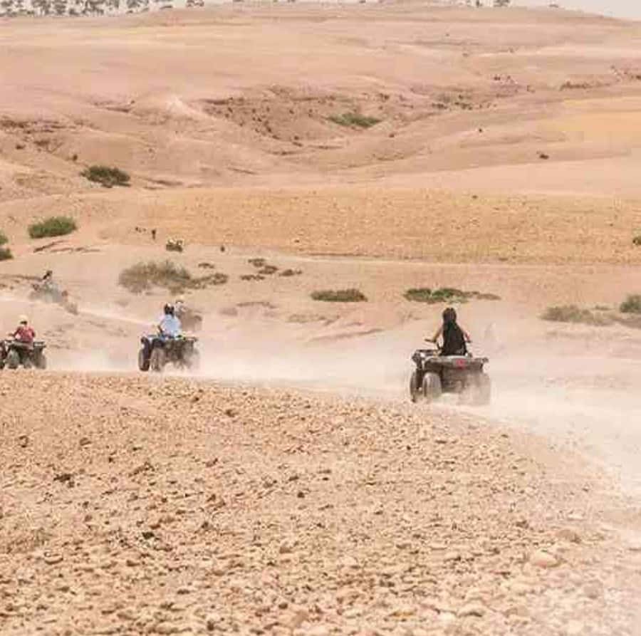 Dinner show in agafay Desert 1h quad bike & 20 min camels - What $21 really gets you