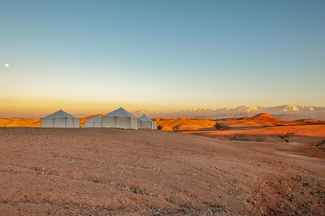 Dinner Show in Agafay Desert with Quad Bike & Camels - Dinner, Mint Tea, and the Evening Show