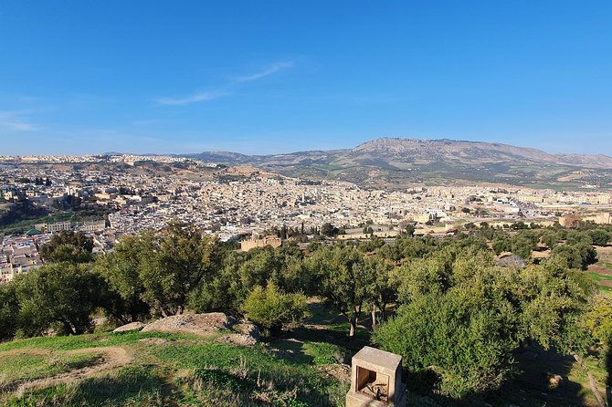 Discover Fez with a local - Why the private guide matters in Fez