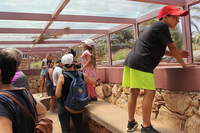 Effortless Agadir Crocoparc Ticket and Transfer Service - What the $28.31 price really covers