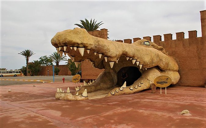Effortless Agadir Crocoparc Ticket and Transfer Service - Feeding time is the moment to plan around