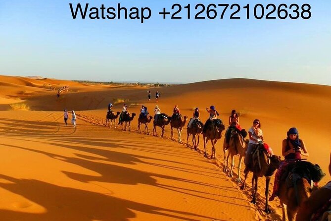 Enjoy camp 1 night .Camel.sunset sunrise drums Quad Sunboard - What the private Berber tent is really like