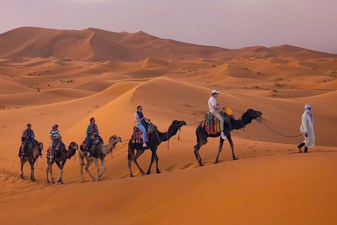 Erg Chebbi Desert Overnight in Tent with Camel Ride & Sandboard - Dinner, tea, and Berber drums after dark