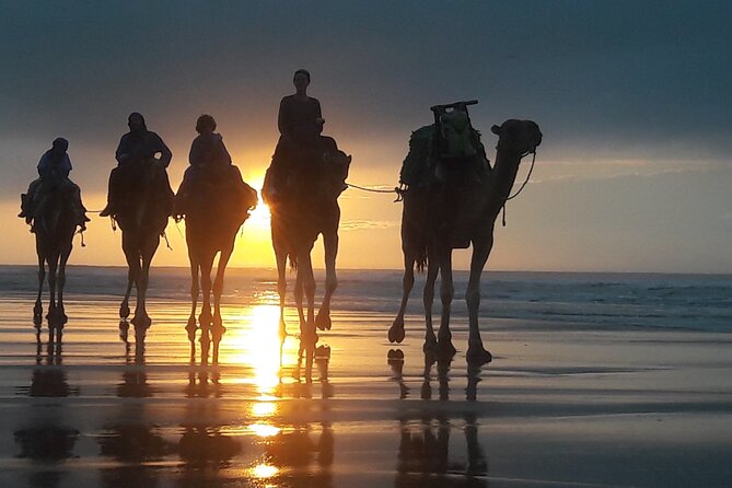 Essaouira 1 hour discovery ride on the back of a camel - What this Essaouira camel ride is really like