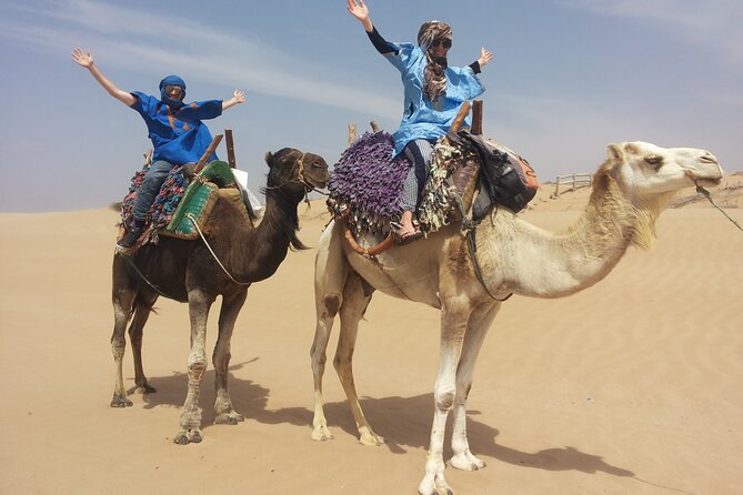 Essaouira 1 hour discovery ride on the back of a camel - Wild beaches and the Atlantic shore