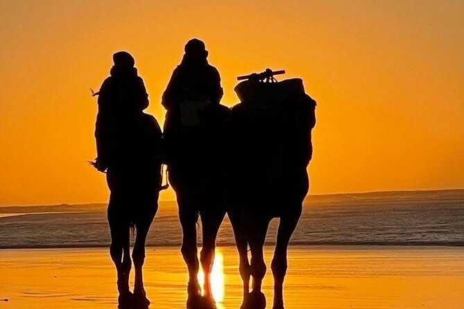 Essaouira 1 hour discovery ride on the back of a camel - Comfort, timing, and who should book