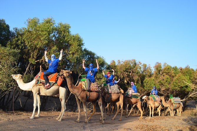 Essaouira 2-Hour Camel Adventure Ride - Key points to know before you book