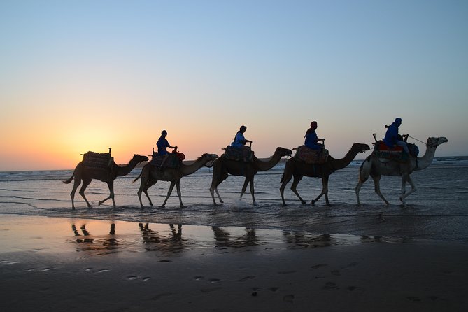 Essaouira 2-Hour Camel Adventure Ride - Starting at Bab Marrakech in Essaouira