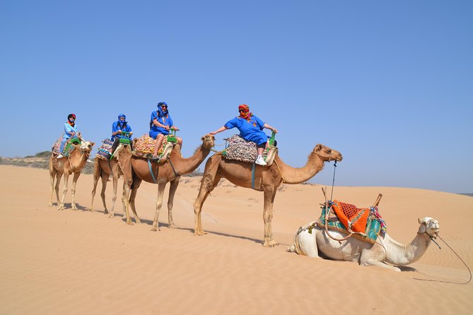 Essaouira 2-Hour Camel Adventure Ride - Portuguese borj and the ruins of Dar Soltane