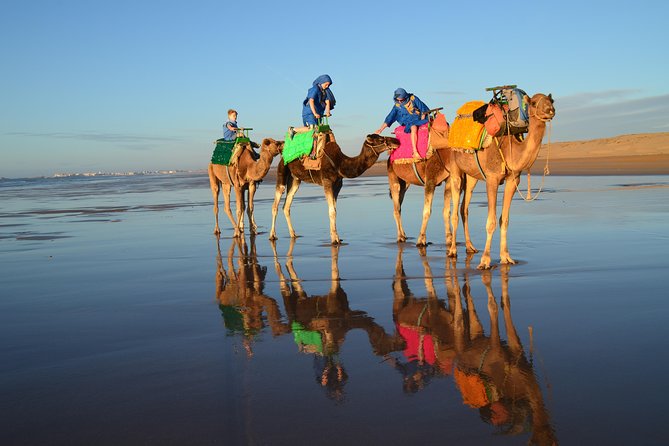 Essaouira 2-Hour Camel Adventure Ride - Who will enjoy this two-hour ride?