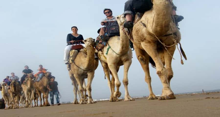 Essaouira: 2-Hour Camel Ride - Key points to know before you book