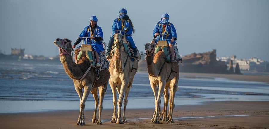 Essaouira: 2-Hour Camel Ride - Why this camel ride feels different from a standard beach outing