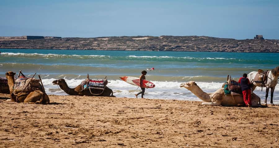 Essaouira: 2-Hour Camel Ride - The first stretch across Essaouira’s beach