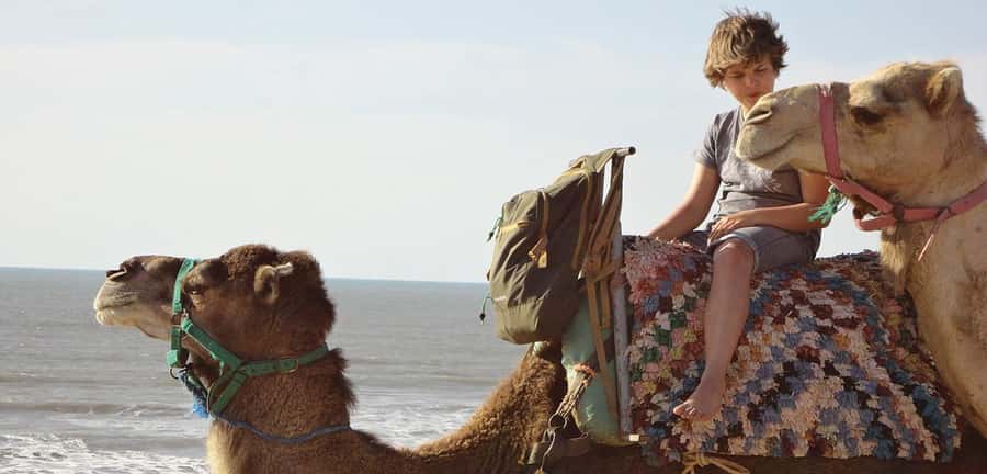 Essaouira: 2-Hour Camel Ride - Dunes, forest, and the route inland