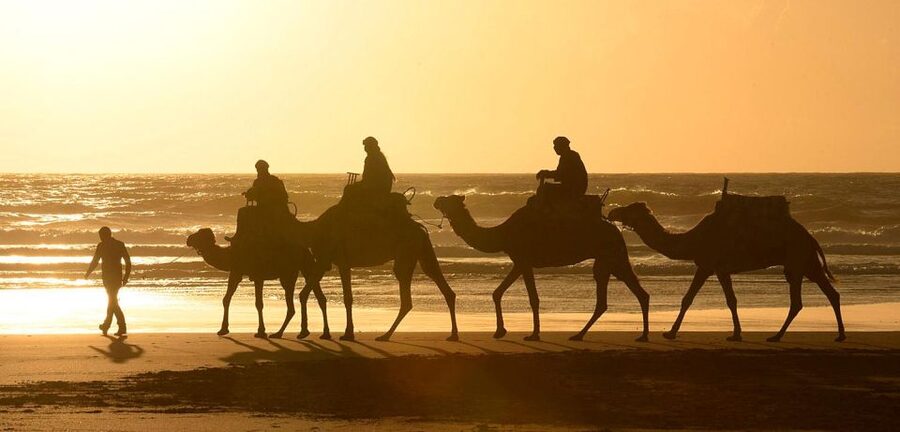 Essaouira: 2-Hour Camel Ride - Is $47 good value for two hours?
