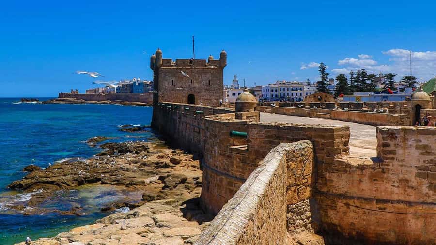 Essaouira: 2-Hour Camel Ride - Who should book this Essaouira ride?