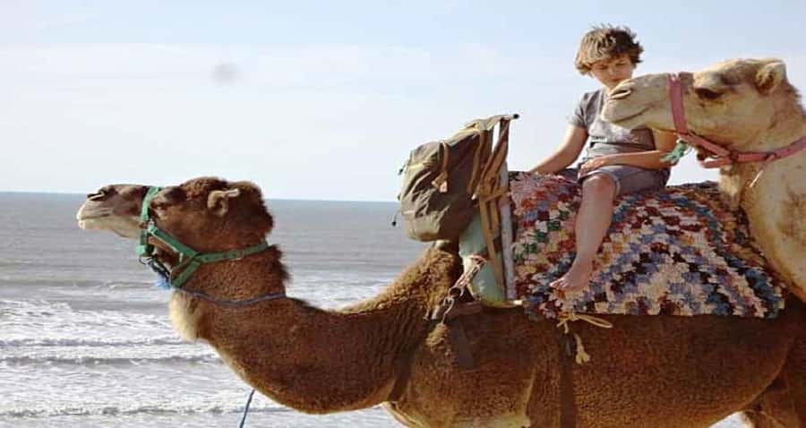 Essaouira: 2-Hour Camel Ride - From hotel pickup to the camel yard