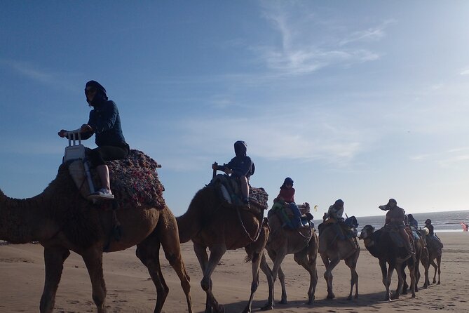 Essaouira: 2H camel/pick up and drop off including - Meeting the camels and settling into the ride