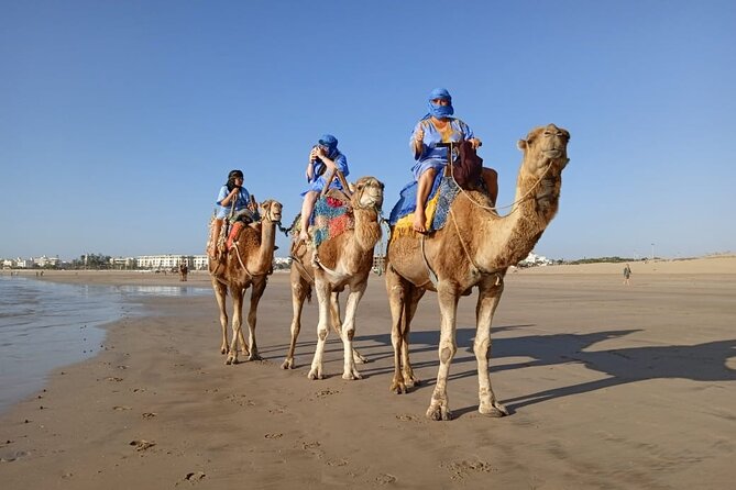 Essaouira: 2H camel/pick up and drop off including - Following the beach toward Essaouira’s open country