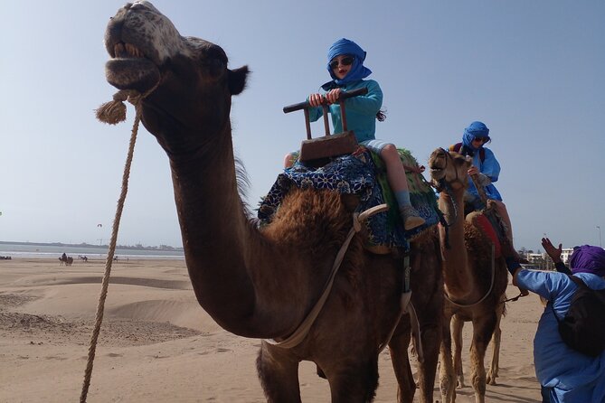 Essaouira: 2H camel/pick up and drop off including - A possible stop at the Jimmy Hendrix Café