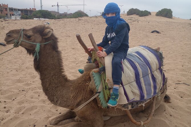 Essaouira: 2H camel/pick up and drop off including - What the $45.36 price really covers