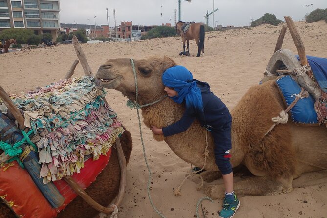 Essaouira: 2H camel/pick up and drop off including - Who will enjoy this most