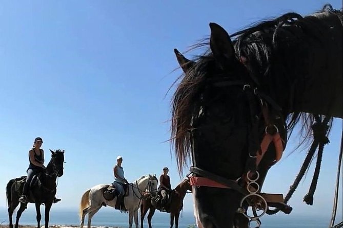 Essaouira Activities: Discover Essaouira by Quad - Is $46.34 a fair price?
