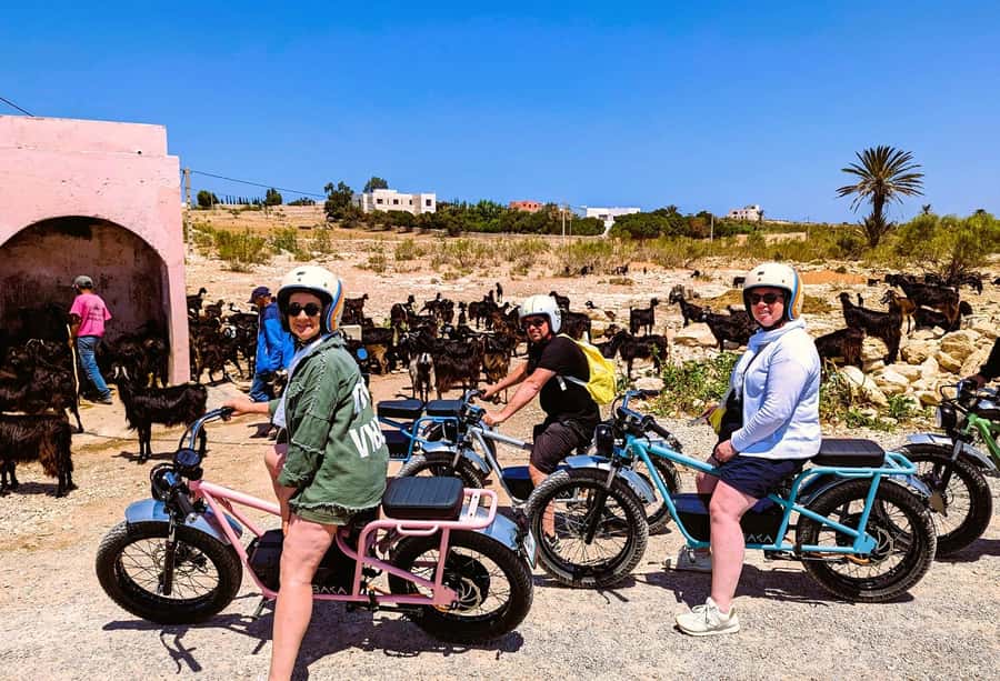 Essaouira: Area Highlights Guided E-Bike Tour - Ghazoua and the story of Morocco’s argan trees