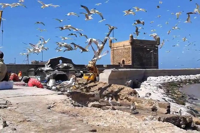 Essaouira Day Departure From Marrakech - The three-hour road from Marrakech to the coast