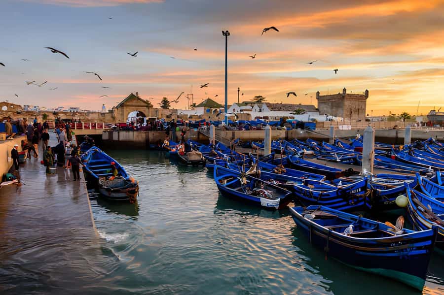 Essaouira Day Trip from Agadir - The return road and Atlantic sunset