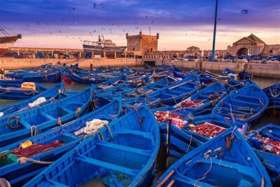 Essaouira Day Trip from Marrakech