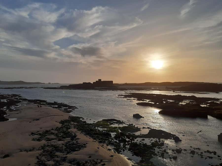 Essaouira Day Trip from Marrakech _ medina, old port - Five hours in Essaouira: enough, but use it well