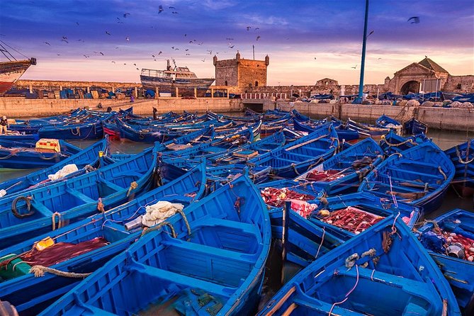 Essaouira day trip from Marrakech - The road from Marrakech to Chichaoua