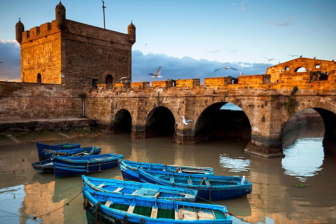 Essaouira-Full-Day-Trip-From-Marrakech - The argan cooperative and the road through argan country