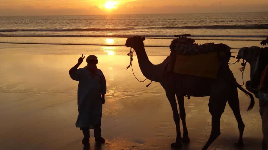 Essaouira: One Hour Dromedary Ride - Key points at a glance