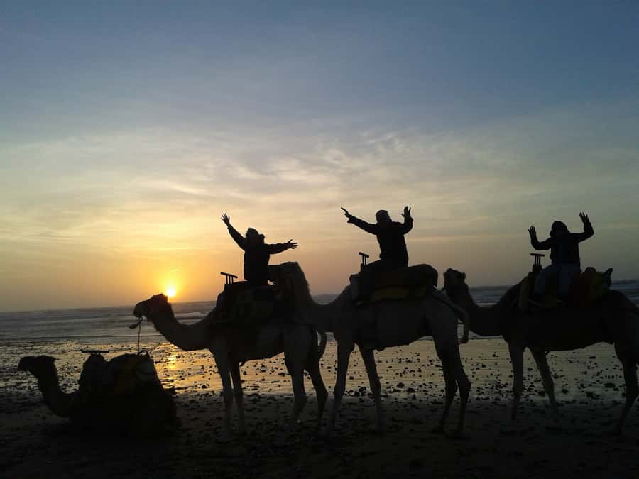 Essaouira: One Hour Dromedary Ride - From Essaouira’s medina to Ranch de Diabat