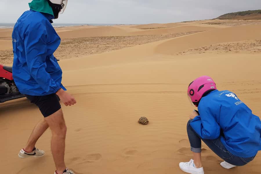 Essaouira P3: Quad tour forest beach dunes (free transfer) - Riding along Essaouira’s open beaches