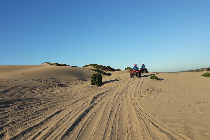 Essaouira: Pleasant Quad tour (free transfer) - Why a private ride matters