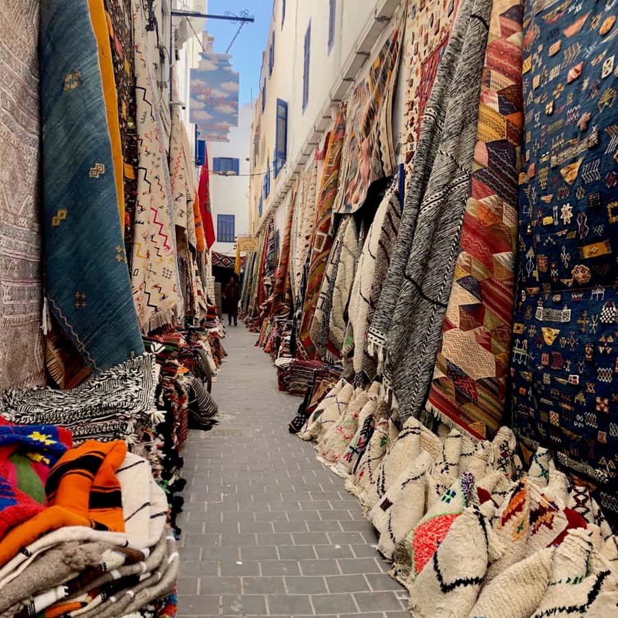 Essaouira: Private City Tour - Walking the Scala of the medina