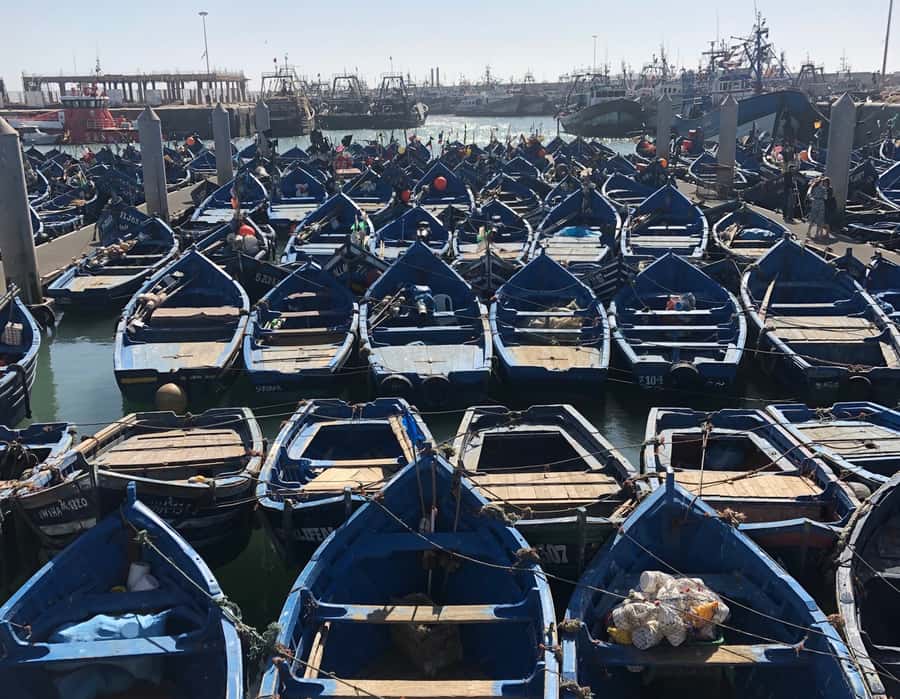 Essaouira: Private City Tour - Souks, silver, woodwork, and the need for clear boundaries
