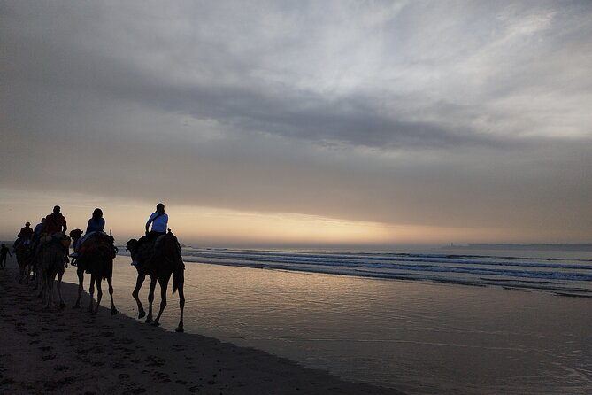 Essaouira Private Full Day Trip From Marrakech - Lunch, shopping, and choosing your own pace