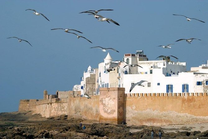 Essaouira Private Full Day Trip From Marrakech - Drivers and guide quality can shape the day