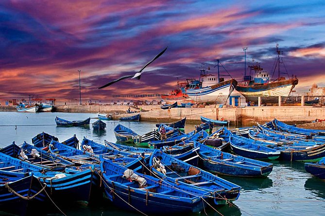Essaouira Private Full Day Trip From Marrakech - The 8:00 a.m. departure and the road west