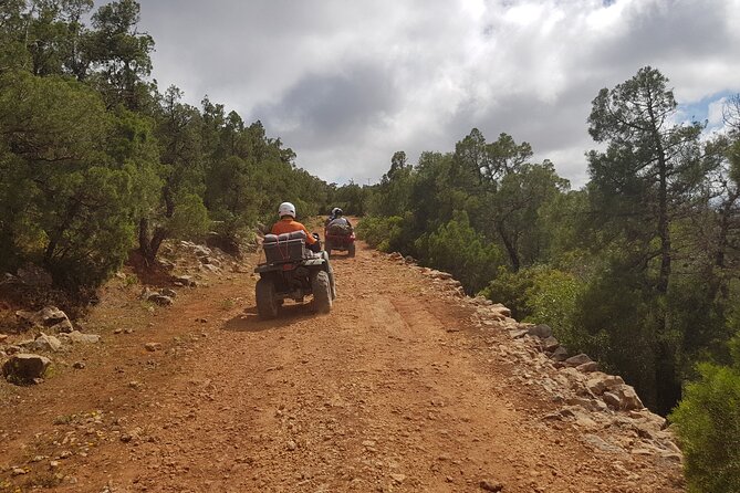 Essaouira: Quad ride / family & friends (free transfer) - Argan forests and the route near Diabat