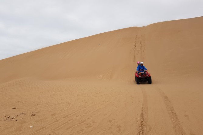 Essaouira: Quad ride / family & friends (free transfer) - Starting at Diana Quad in Essaouira