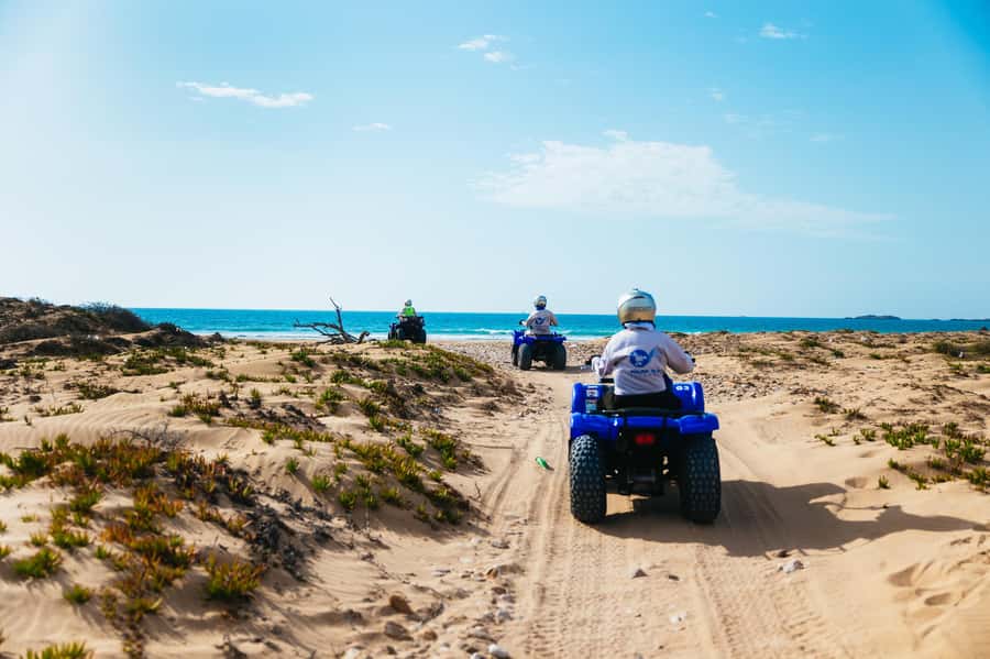 Essaouira Sand Dunes: Half Day Quad Bike Tour - Is $79 a fair price?