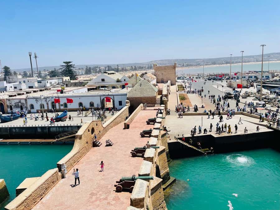 Essaouira: Sqala du Port, Citadel, Fish Market & Medina Tour - Key points to know before you book